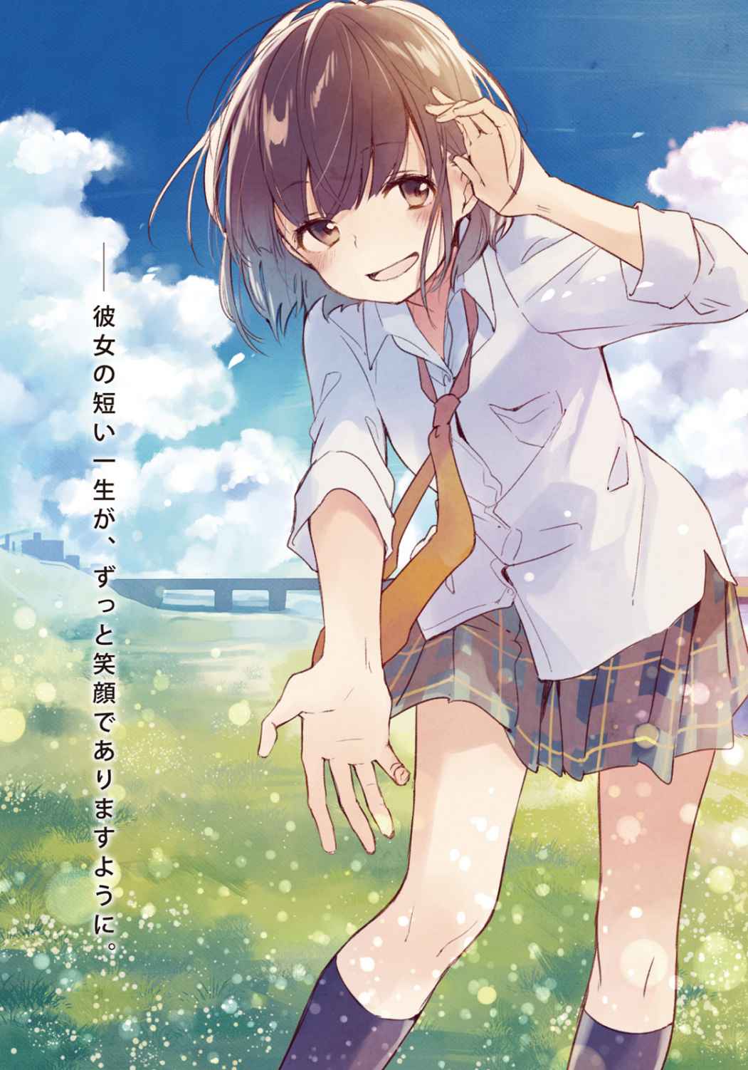 Nidome no Natsu, Nidoto aenai kimi